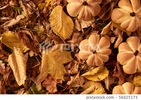 cookies in shape of pumpkin in autumn leaves 56825173