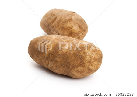Russet Potato Russet Potato 56825258