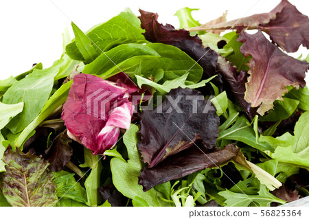 Salad Salad 56825364