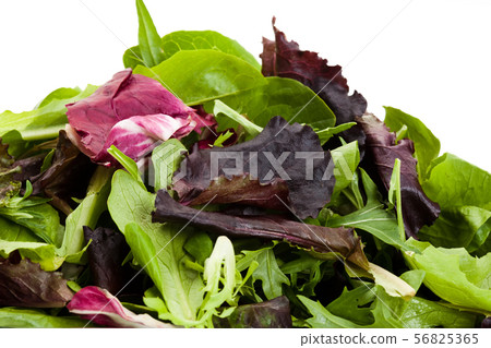 Salad Salad 56825365