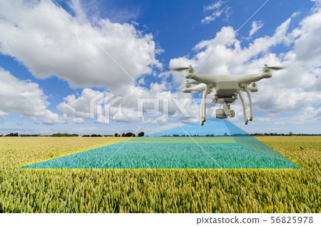 multicopter drone flying over crops field 56825978
