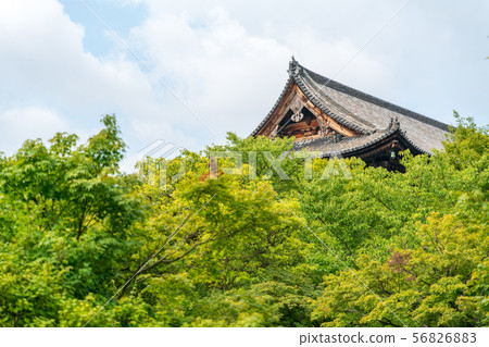 Summer Toji Auditorium, Kyoto 56826883