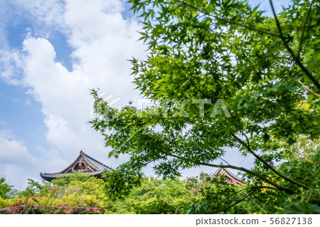 Summer Toji Auditorium Kyoto 56827138