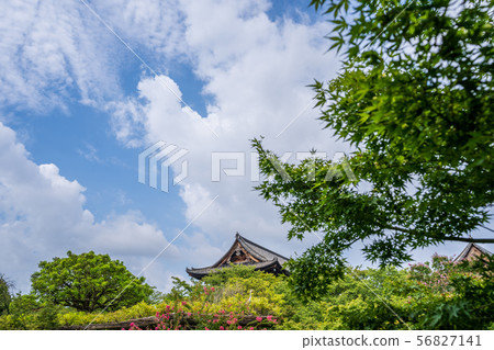 Summer Toji Auditorium Kyoto 56827141