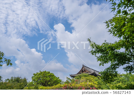 Summer Toji Auditorium Kyoto 56827143
