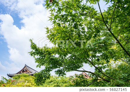 Summer Toji Kondo Kyoto 56827145