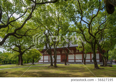 Summer Toji Auditorium Kyoto 56827195