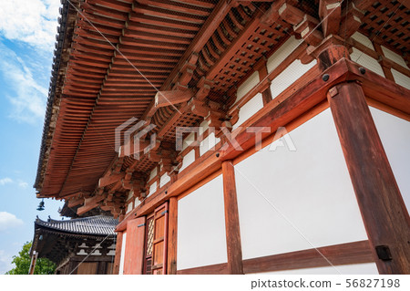 Summer Toji Auditorium Kyoto 56827198
