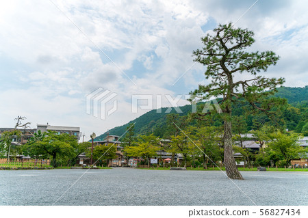 夏天嵐山公園中之島地區京都 照片素材 圖片 圖庫