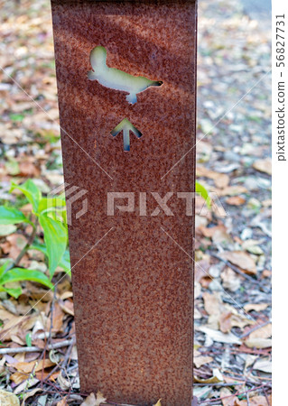 Steel Sign For Tourists To Platypus Viewing 56827731