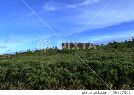 [Flat-rate] Scenery from the top of Mt. Naeba in the early morning 56827901