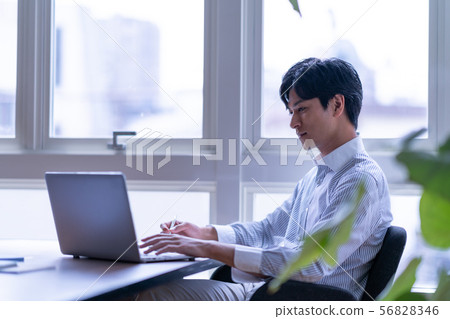 商人白天人室內室內工作偶然一個人一人植物計算機 56828346