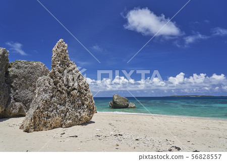 Desert island Desert island 56828557