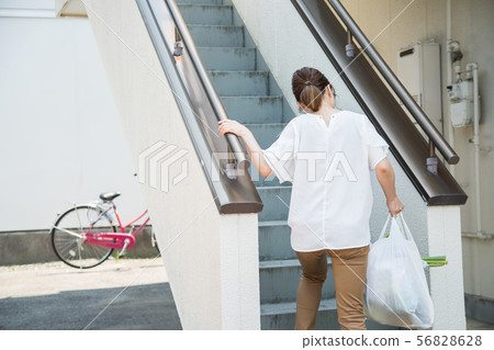 Housewife climbing stairs Housewife climbing stairs 56828628
