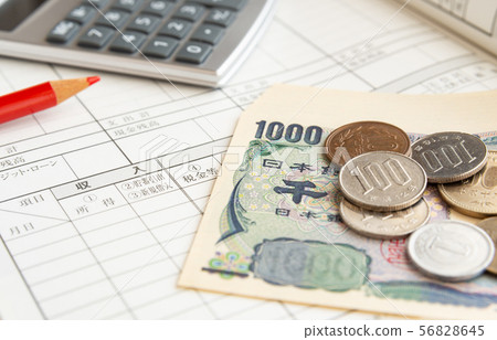 Household budget Household account book Income and expenditure records Ledger Disposable income 56828645