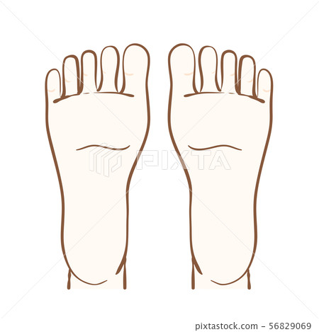 腳底的例證 56829069