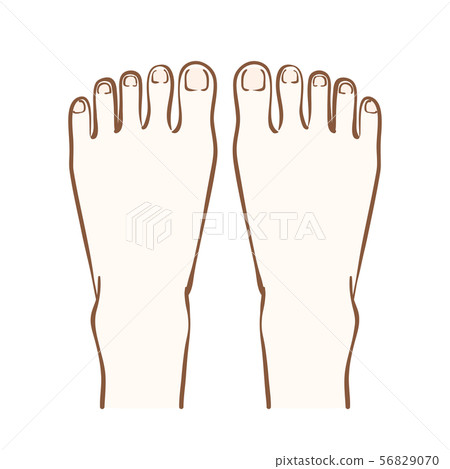 腳背的例證 56829070