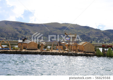 Uros Island, Lake Titicaca Uros Island, Lake Titicaca 56829388