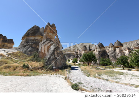 Cappadocia Pasabag 56829514
