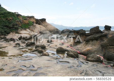 Taiwan Taiwan 56830520