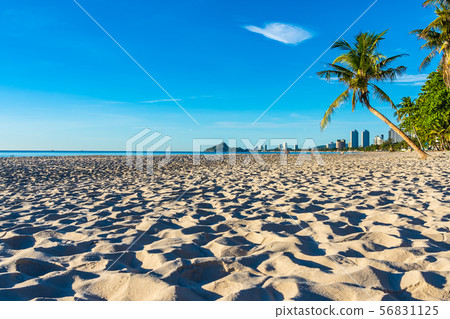 Beautiful outdoor landscape of sea ocean and beach with coconut palm tree 56831125