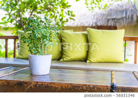Vase plant on table decoration with pillow on sofa chair Vase plant on table decoration with pillow on sofa chair 56831346