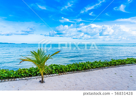 Beautiful landscape of beach sea ocean with coconut palm tree with white cloud and blue sky 56831428