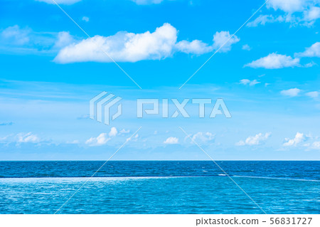 Beautiful outdoor swimming pool in hotel resort with white cloud and blue sky for leisure relax Beautiful outdoor swimming pool in hotel resort with white cloud and blue sky for leisure relax 56831727