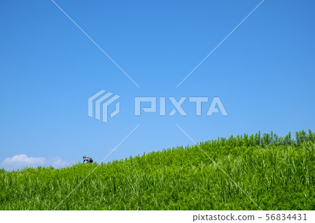 Cyclist with bank and blue sky Cyclist with bank and blue sky 56834431