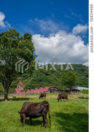田島農場公園 田島農場公園 56834489