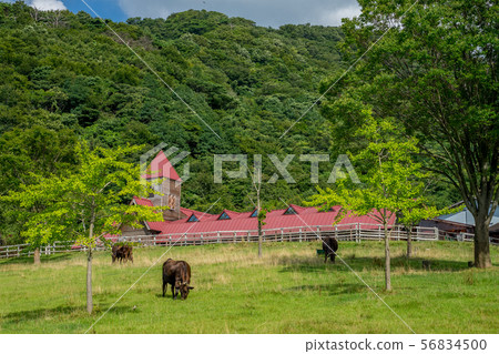 田島農場公園 56834500