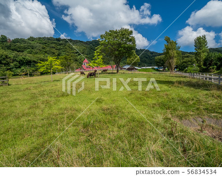 Tajima Farm Park 56834534