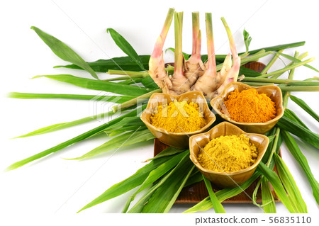 Ginger powdered on white Ginger powdered on white 56835110