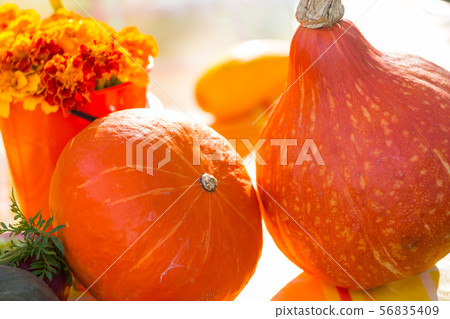 Pumpkin 56835409
