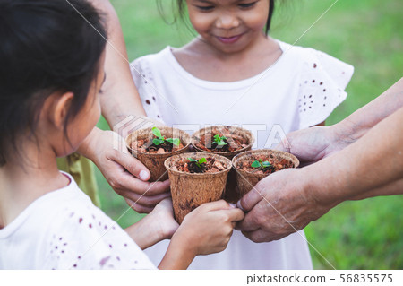 Children and parent hands holding young seedlings 56835575