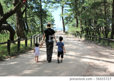 Rainbow Matsubara 56835727