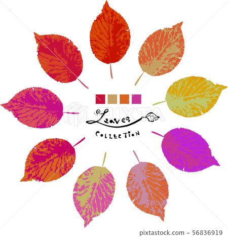 Leaf set red to purple 56836919