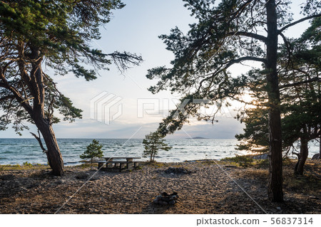 Benches and table in an evening view by the coast 56837314