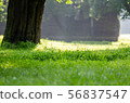 Ranch 56837547
