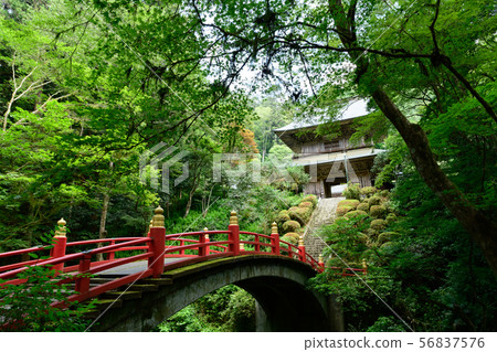 Unganji寺 Unganji寺 56837576