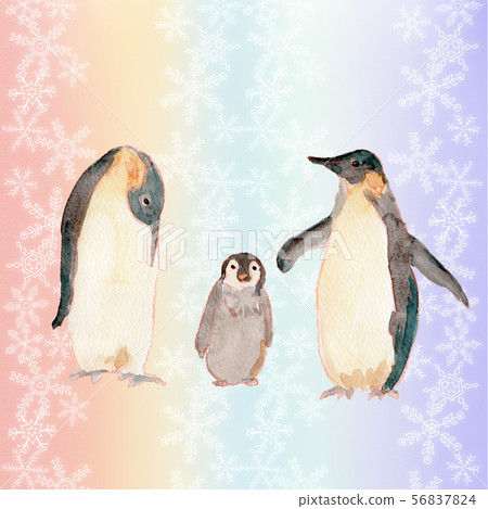 企鵝父母和孩子水彩 企鵝父母和孩子水彩 56837824