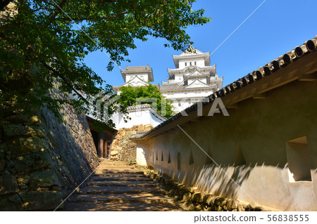 Himeji-jo Castle 56838555