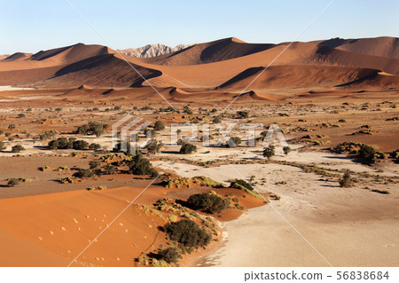 The Namib Desert near Sossusvlei - Namibia 56838684