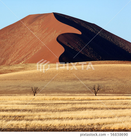 Sand Dune at Sossusvlei - Namib Desert - Namibia 56838690