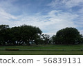 Scenery 56839131