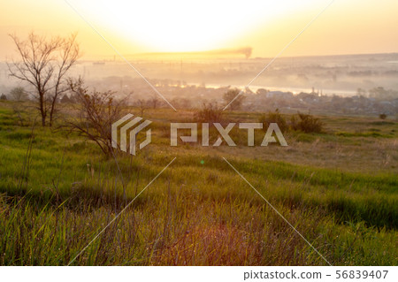 morning reeds mist fog and surface on the river morning reeds mist fog and surface on the river 56839407