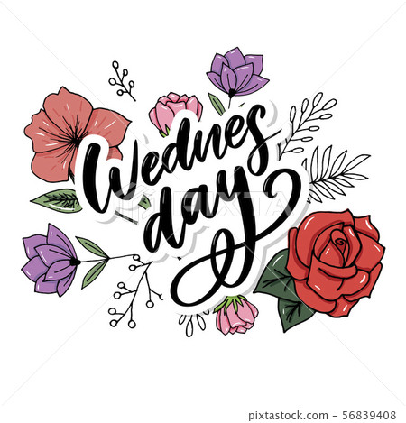 Wednesday words. Quote design. Hand drawn ink 56839408