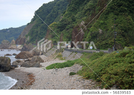 岩手縣久慈市里亞斯海岸 岩手縣久慈市里亞斯海岸 56839583