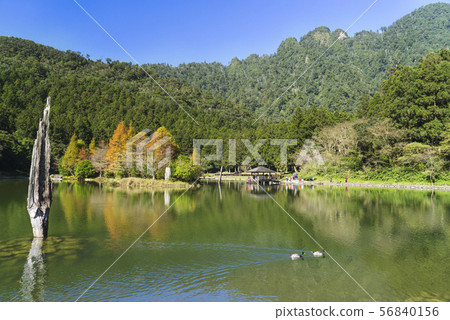 明池森林遊樂區迷人的湖畔景致倒影成雙 明池森林遊樂區迷人的湖畔景致倒影成雙 56840156