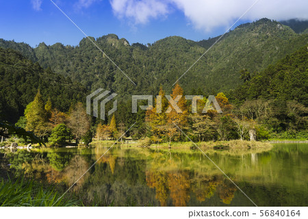 明池森林遊樂區迷人的湖畔景致倒影成雙 56840164